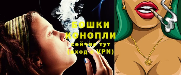 индика Вязьма