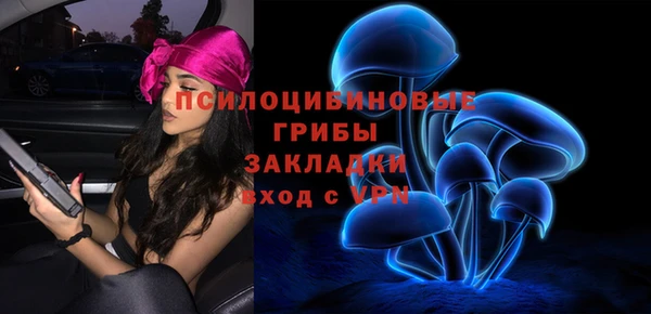 a pvp Вяземский