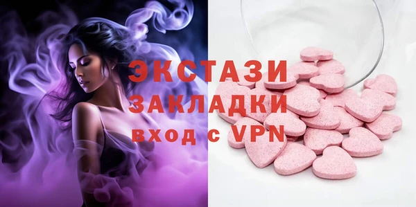 индика Вязьма