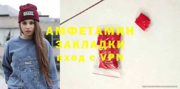 индика Вязьма