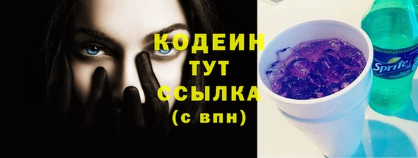 индика Вязьма