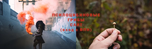 индика Вязьма