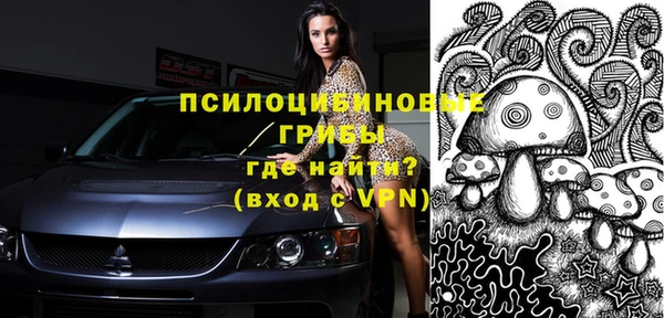 индика Вязьма