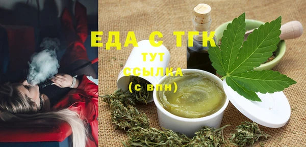 индика Вязьма