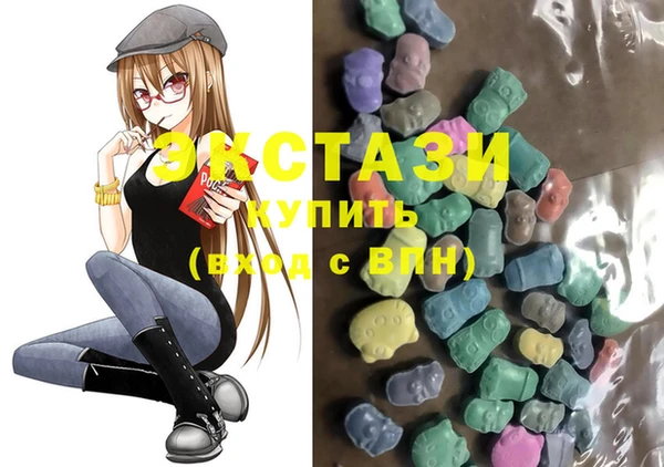 индика Вязьма