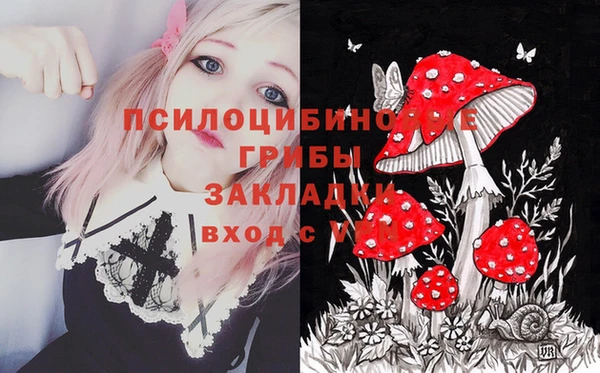 индика Вязьма