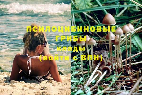 a pvp Вяземский