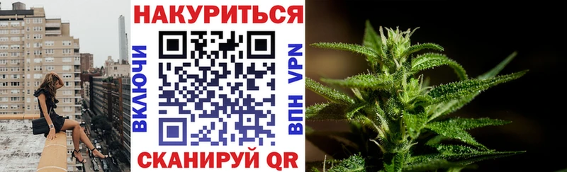 Бошки марихуана Ganja  Новая Ладога 